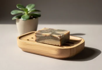 Porte-savon écologique 2026 : des alternatives durables au plastique pour un quotidien zéro déchet